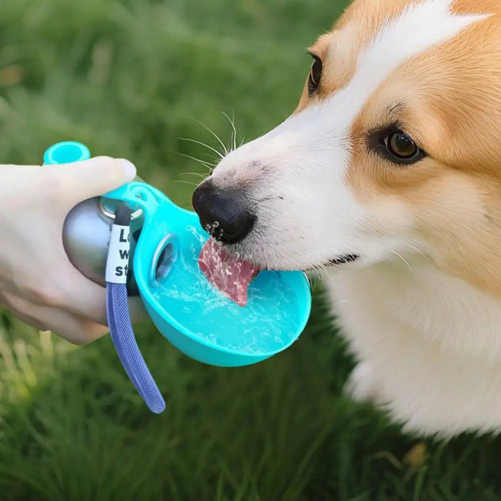 Summer Pet Upgrades